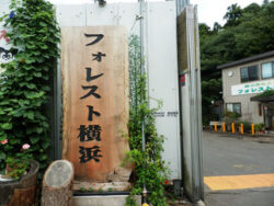 臨時休業のお知らせ：2026年3月30日（月）～ 2026年4月5日（日）