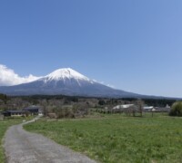 牧場では堆肥の原料になります。