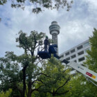 ベテランのスタッフが作業します、お気軽にお問い合わせください。