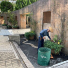 弊社で管理してる山下公園での作業の様子です。