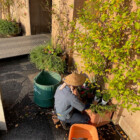 弊社で管理してる山下公園での作業の様子です。